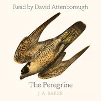 View audiobook of The Peregrine by J. A. Baker