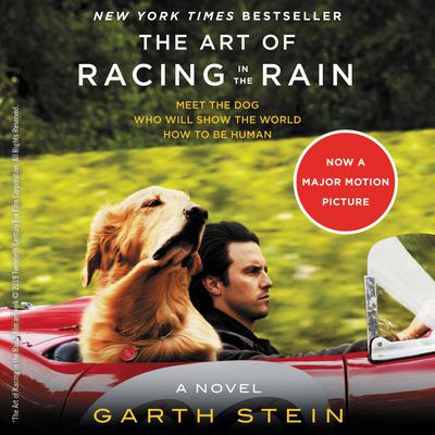 The Art of Racing in the Rain by Garth Stein