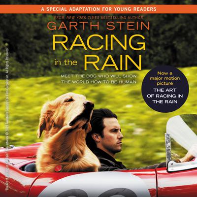 Racing in the Rain by Garth Stein