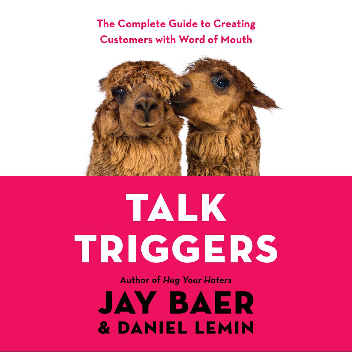 Talk Triggers by Jay Baer & Daniel Lemin