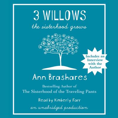 3 Willows by Ann Brashares
