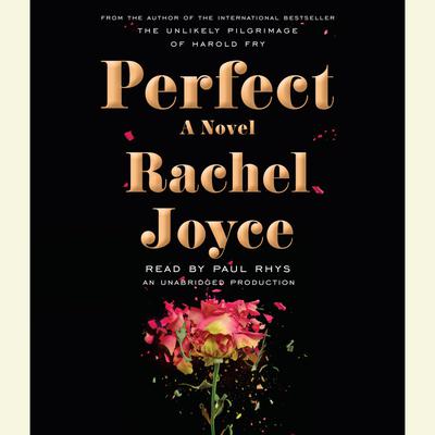 Perfect by Rachel Joyce