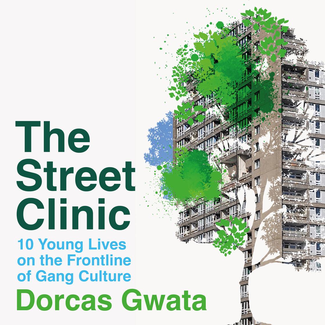 View audiobook of The Street Clinic by Dorcas Gwata