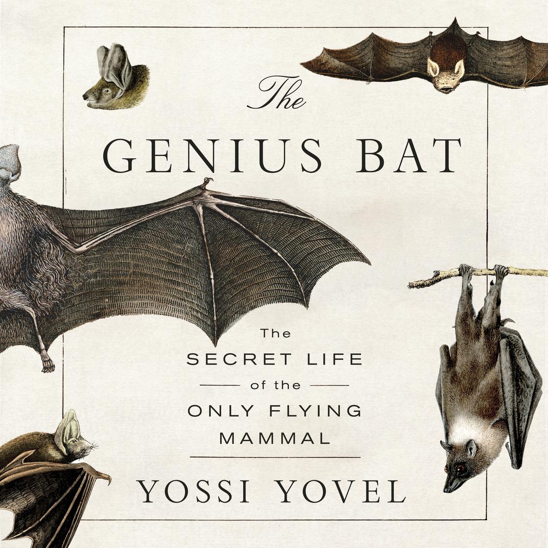 View audiobook of The Genius Bat by Yossi Yovel