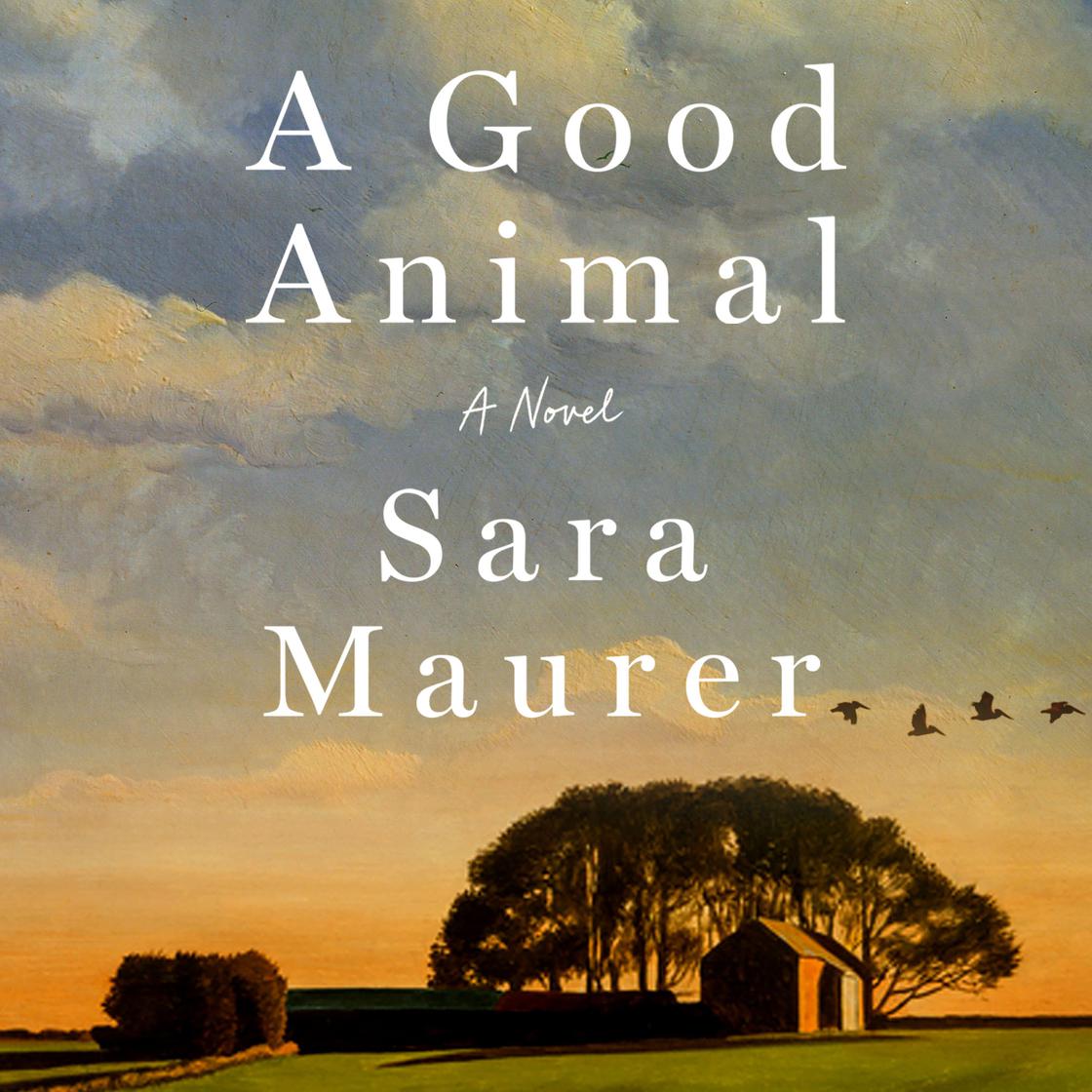View audiobook of A Good Animal by Sara Maurer