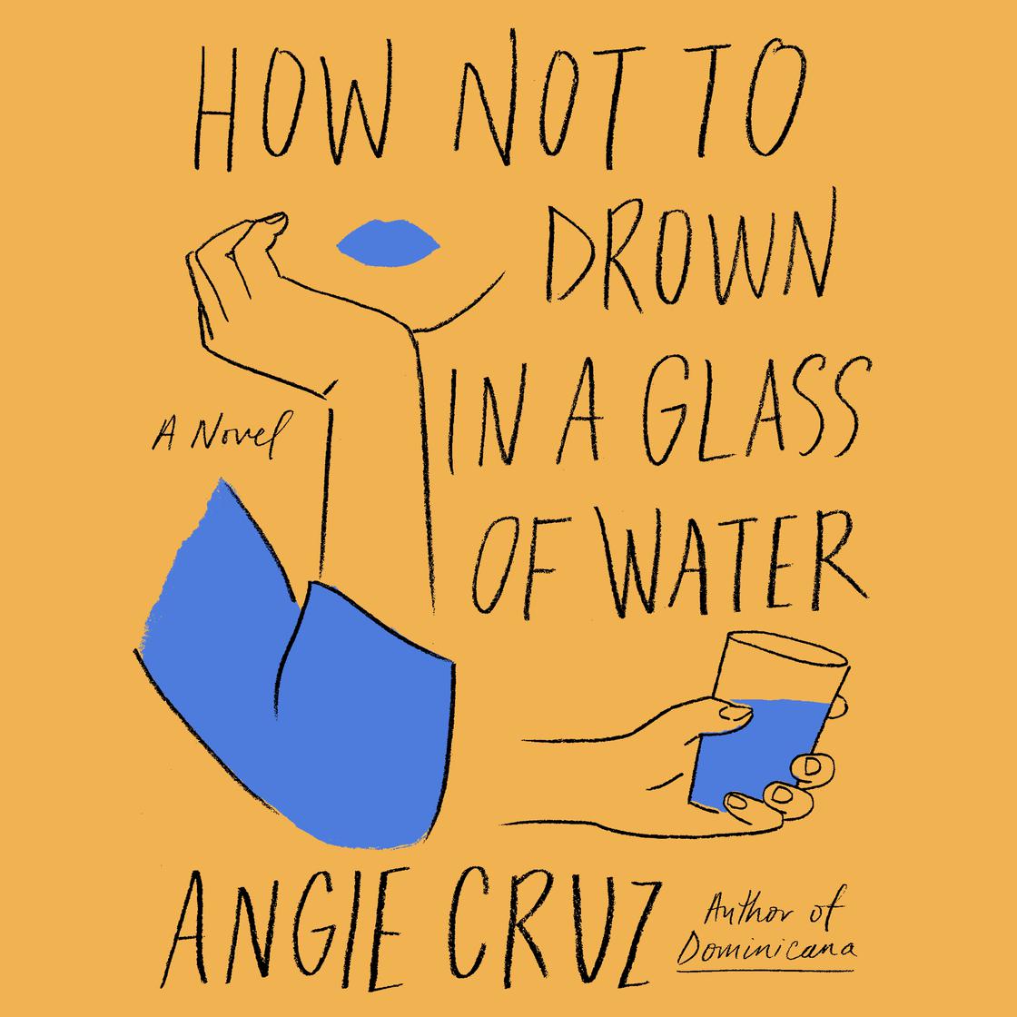 View audiobook of How Not to Drown in a Glass of Water by Angie Cruz