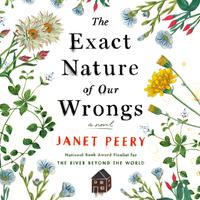 View audiobook of The Exact Nature of Our Wrongs by Janet Peery