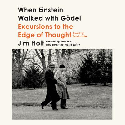 When Einstein Walked with Gödel by Jim Holt