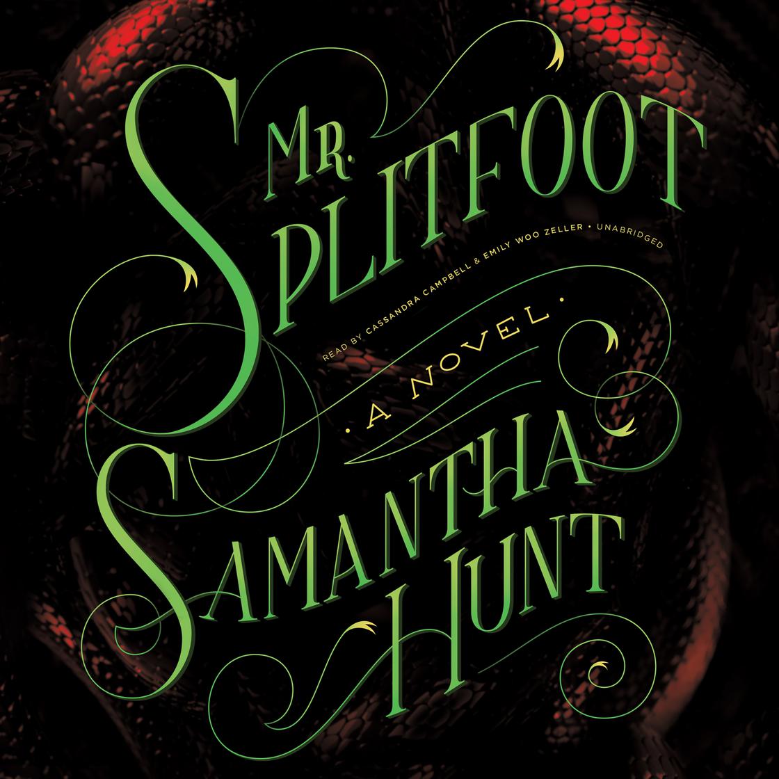 View audiobook of Mr. Splitfoot by Samantha Hunt