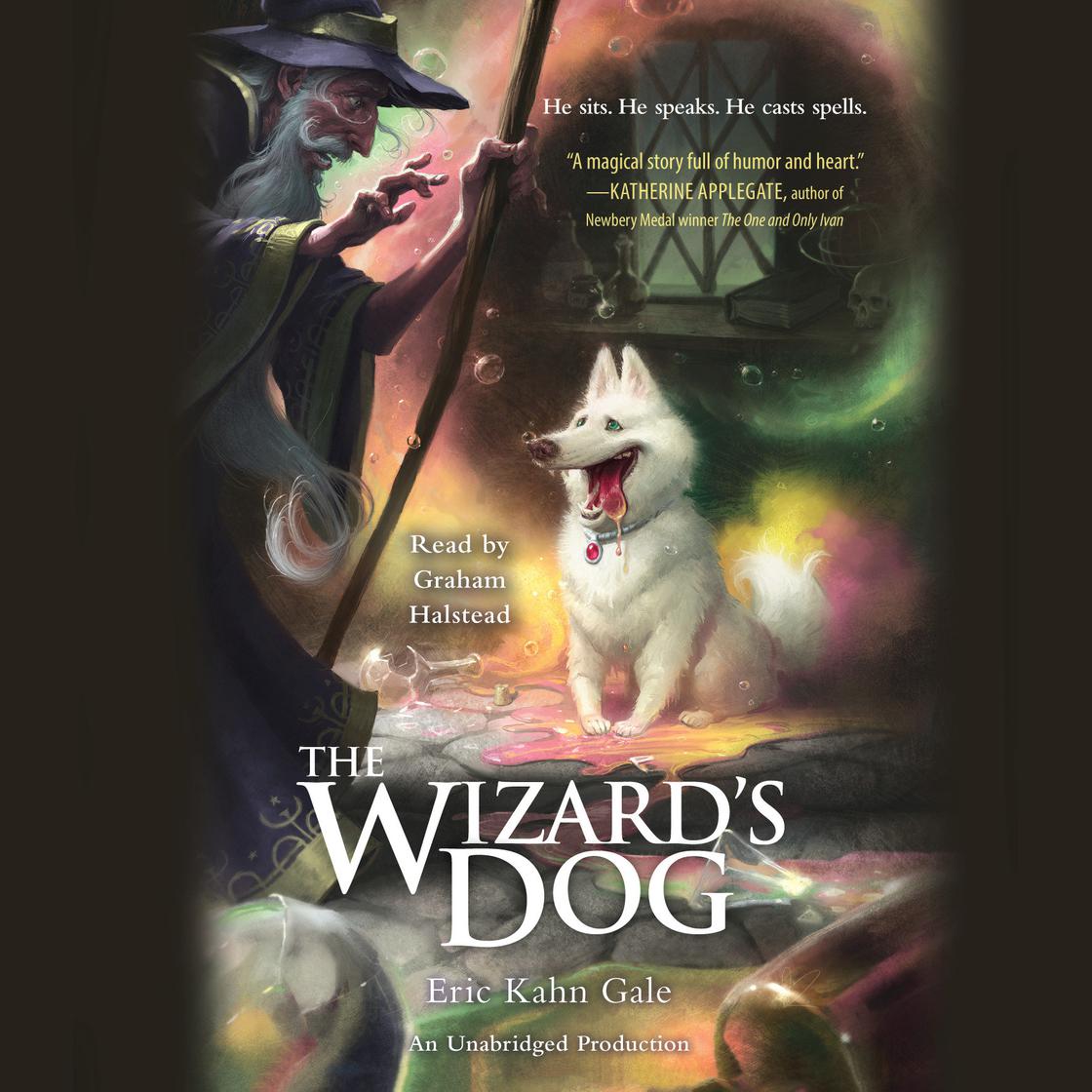 The Wizard's Dog by Eric Kahn Gale