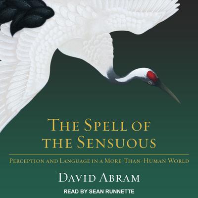 The Spell of the Sensuous by David Abram