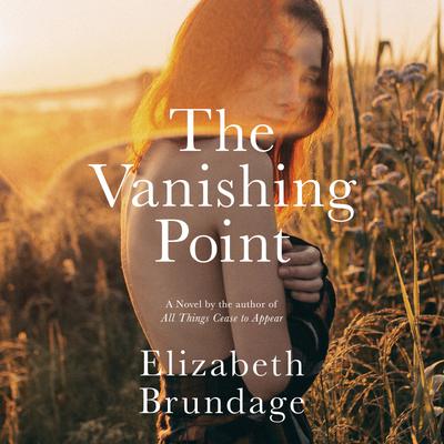 The Vanishing Point by Elizabeth Brundage