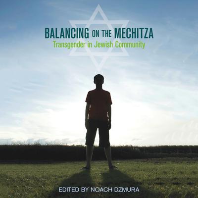 Balancing on the Mechitza by Noach Dzmura