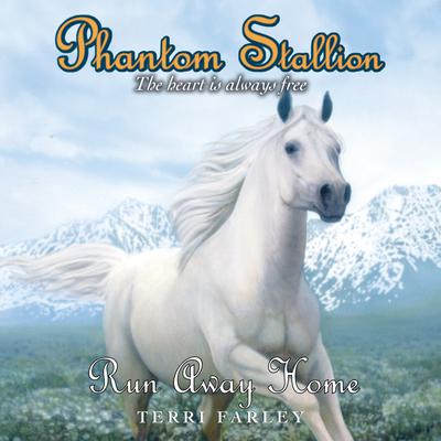 Phantom Stallion by Terri Farley