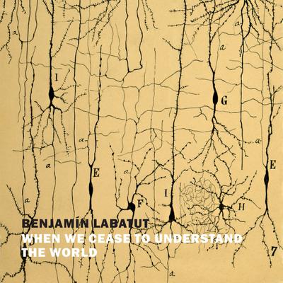 When We Cease to Understand the World by Benjamin Labatut