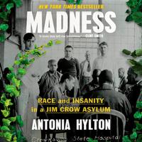 View audiobook of Madness by Antonia Hylton
