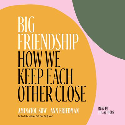 Big Friendship by Aminatou Sow & Ann Friedman