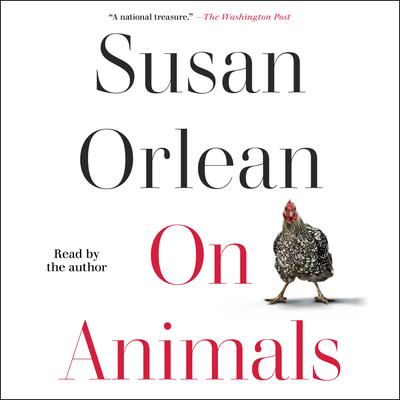 On Animals by Susan Orlean