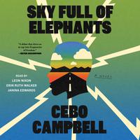 View audiobook of Sky Full of Elephants by Cebo Campbell