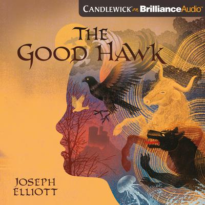 The Good Hawk by Joseph Elliott