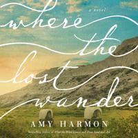 View audiobook of Where the Lost Wander by Amy Harmon