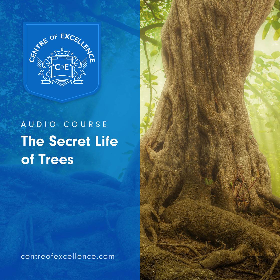 View audiobook of The Secret Life of Trees by Centre of Excellence