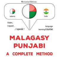 View audiobook of Malagasy - Punjabi : fomba feno by James Gardner