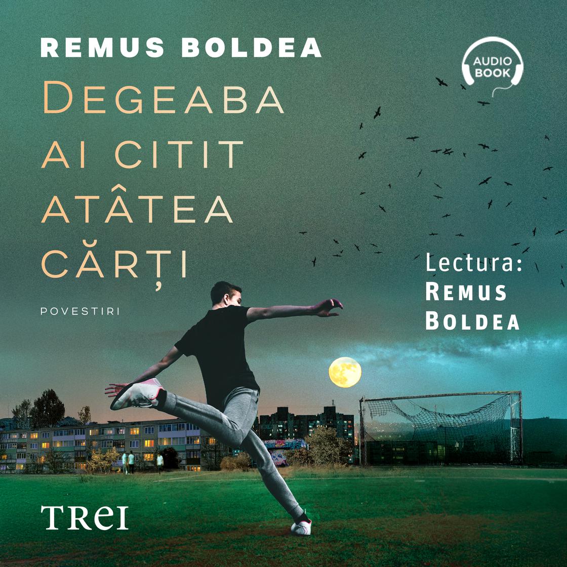 View audiobook of Degeaba ai citit atâtea cărți by Remus Boldea