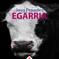 View audiobook of Egarria - Abridged by Josu Penades