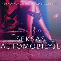 View audiobook of Seksas automobilyje - seksuali erotika by Sarah Skov