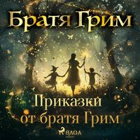 View audiobook of Приказки от братя Грим by Братя Грим