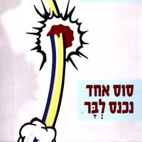 View audiobook of סוס אחד נכנס לבר by David Grossman
