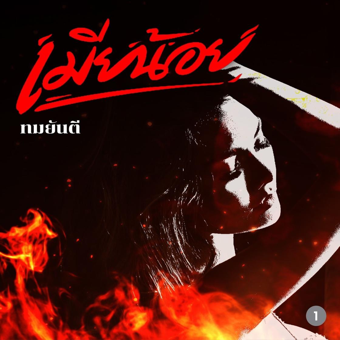 View audiobook of เมียน้อย 1 by ทมยันตี