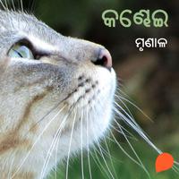 View audiobook of Kandhei by ମୃଣାଳ