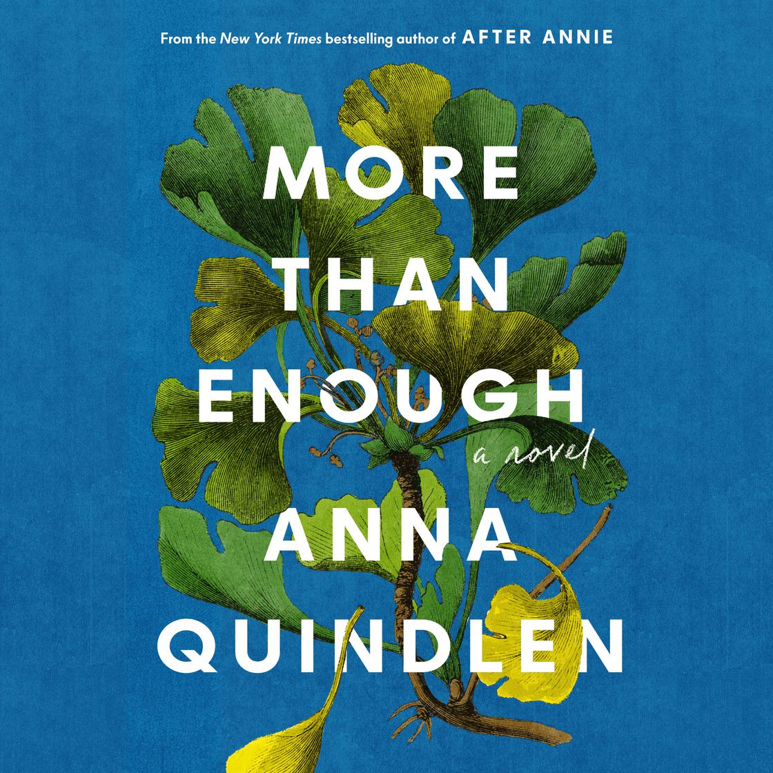 View audiobook of More Than Enough by Anna Quindlen