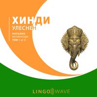 View audiobook of хинди Улеснен - Напълно начинаещи - Том 1 от 3 by Lingo Wave
