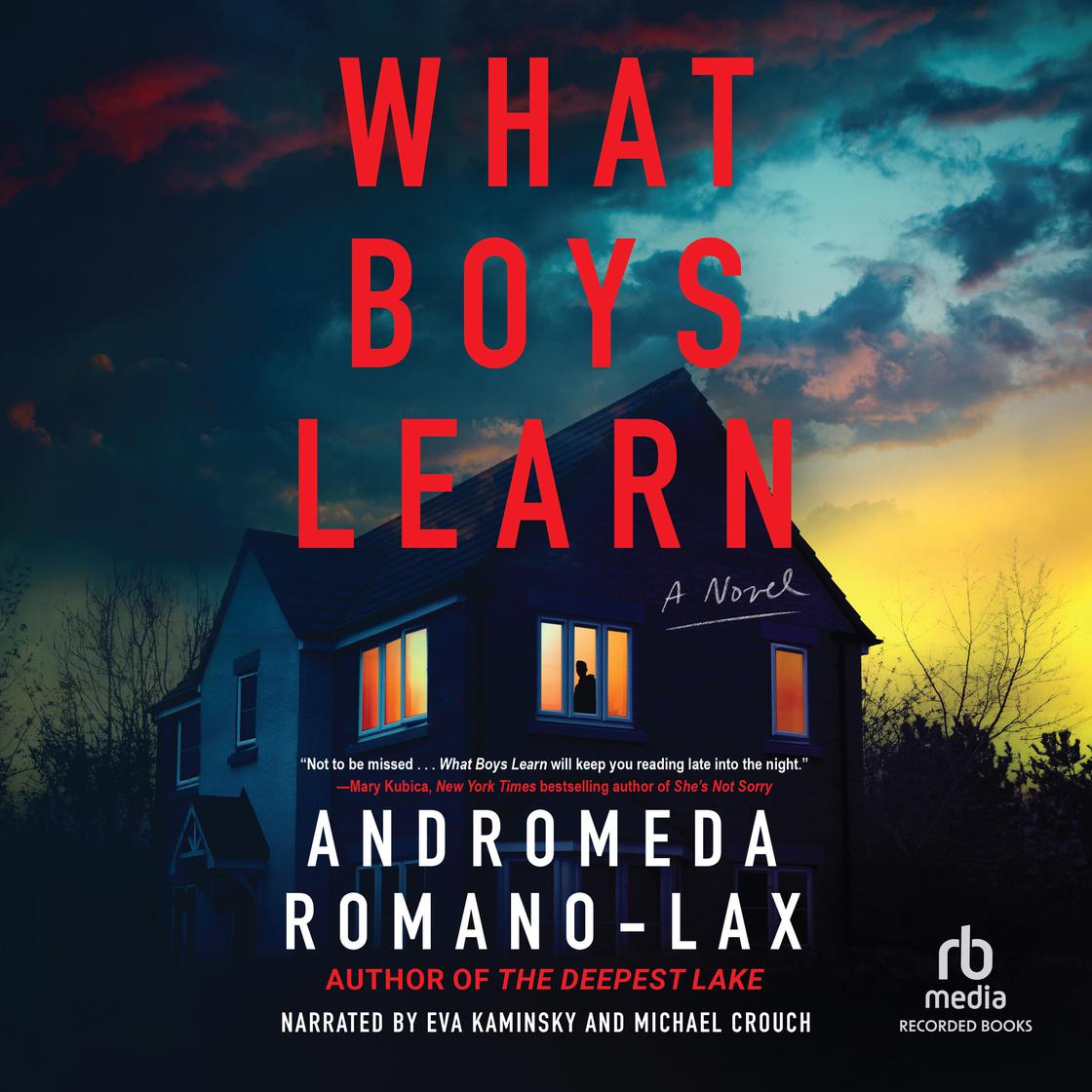 View audiobook of What Boys Learn by Andromeda Romano-Lax