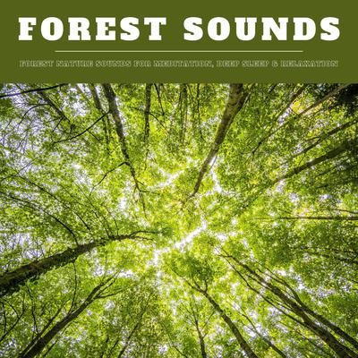 Forest Sounds: Forest Nature Sounds for Meditation, Deep Sleep