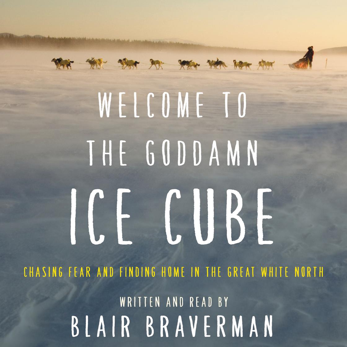 Welcome to the Goddamn Ice Cube by Blair Braverman