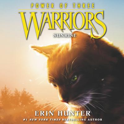 audiobook