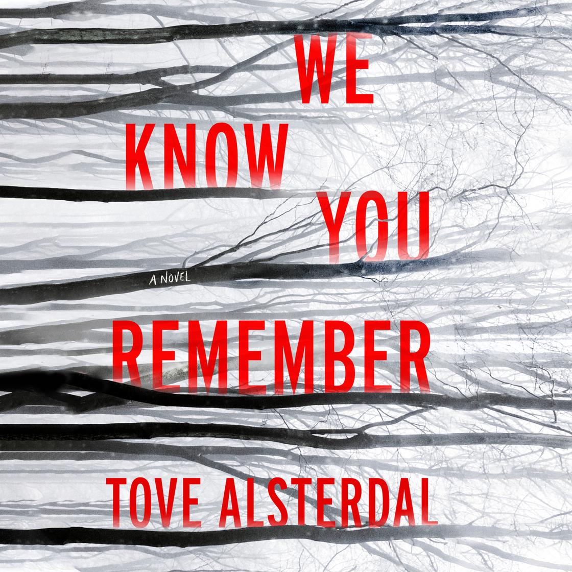 We Know You Remember by Tove Alsterdal