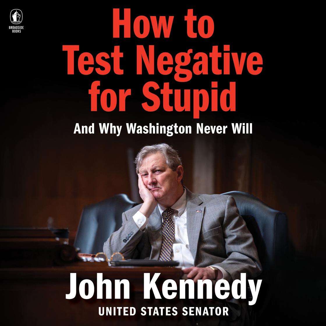 How to Test Negative for Stupid Audiobook on Libro.fm, image size:1120x1120
