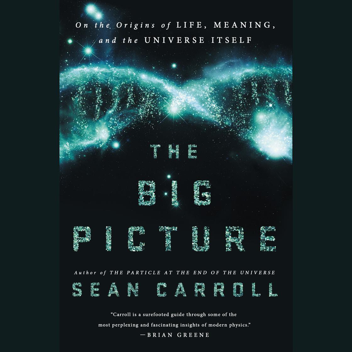 The Big Picture by Sean Carroll