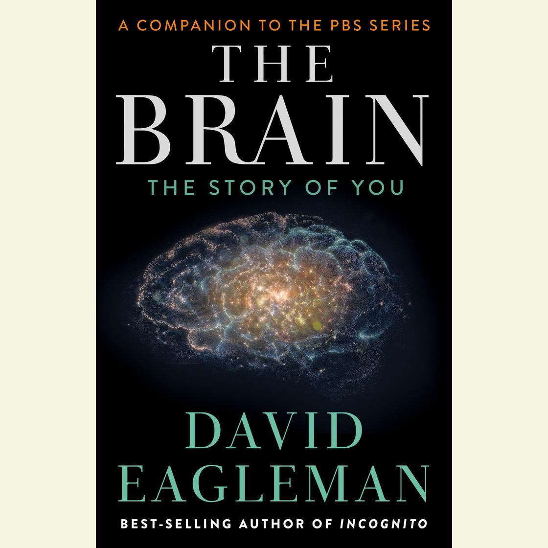 The Brain by David Eagleman