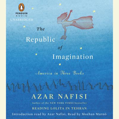 The Republic of Imagination