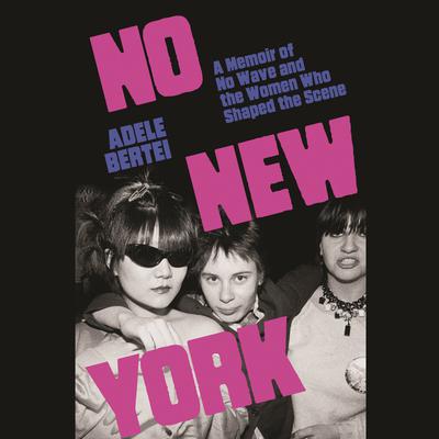No New York Audiobook | Libro.fm