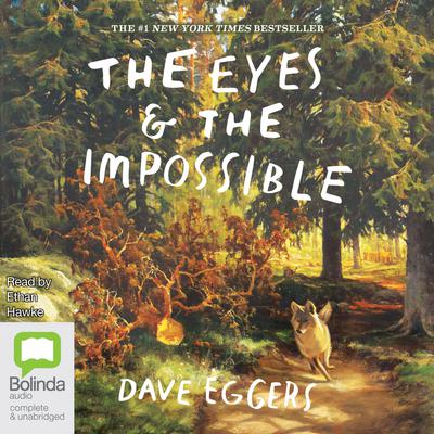 The Eyes and The Impossible