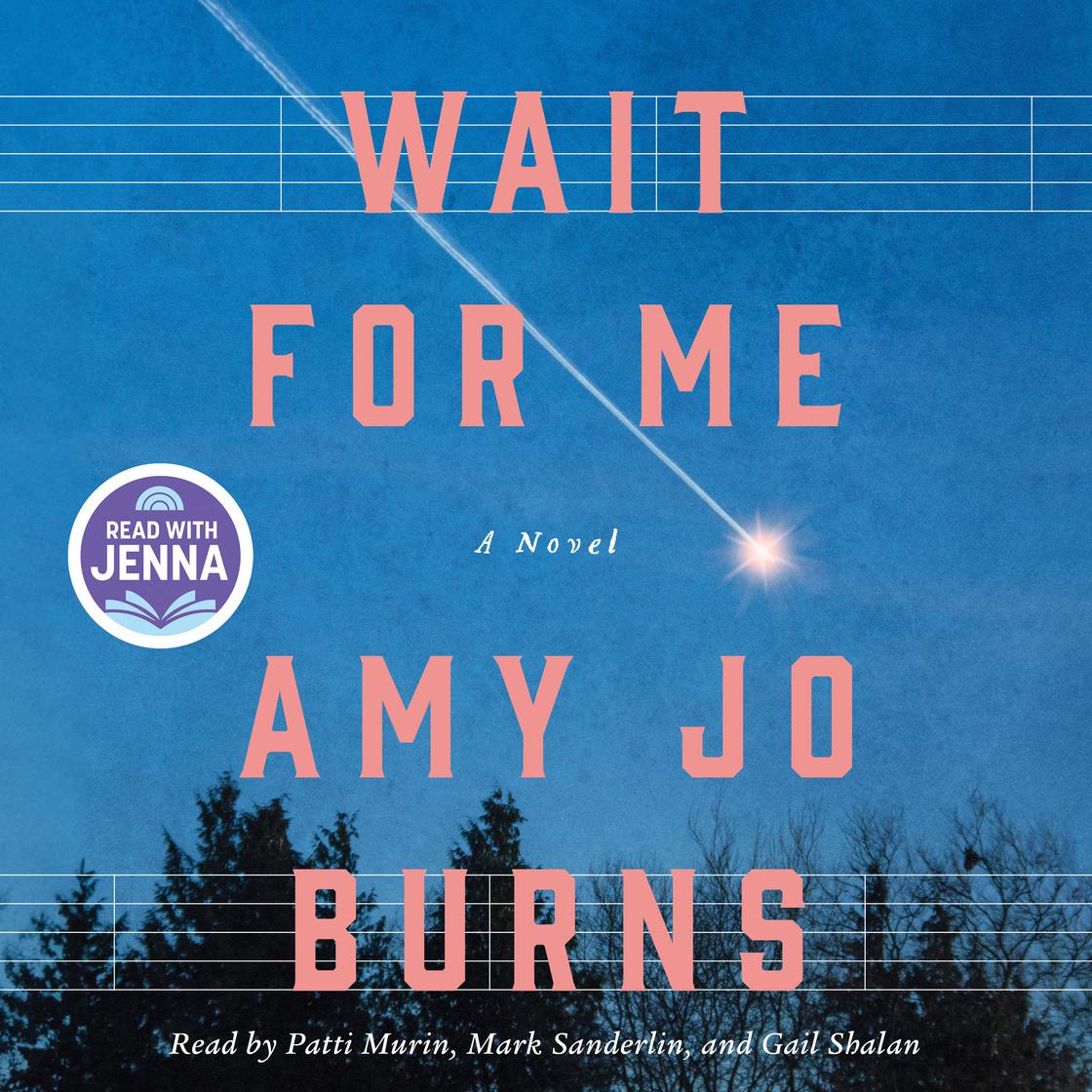 Wait for Me by Amy Jo Burns Narrated by Gail