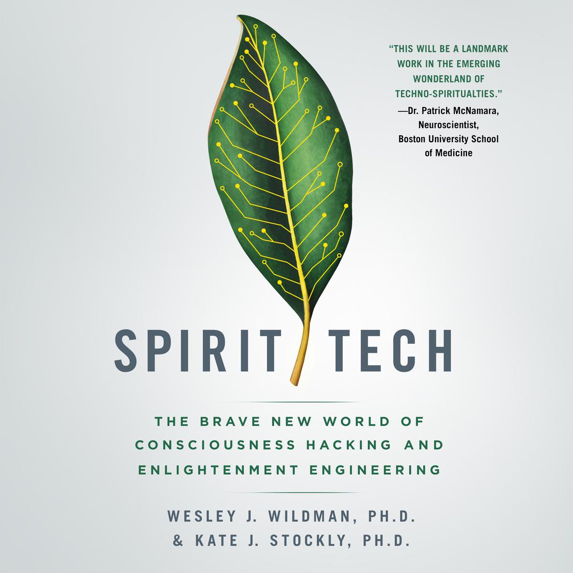 Spirit Tech by Wesley J. Wildman, Ph.D & Kate J. Stockly, Ph.D.