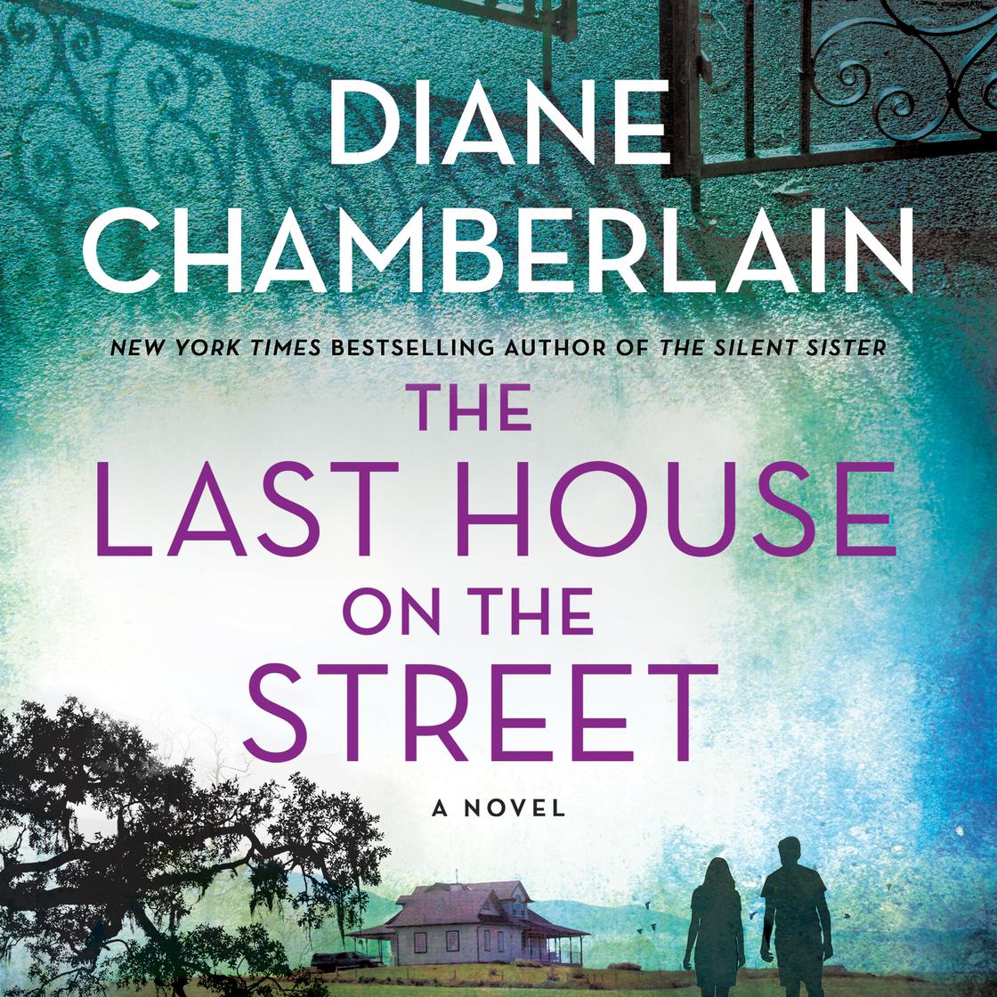 The Last House on the Street by Diane Chamberlain